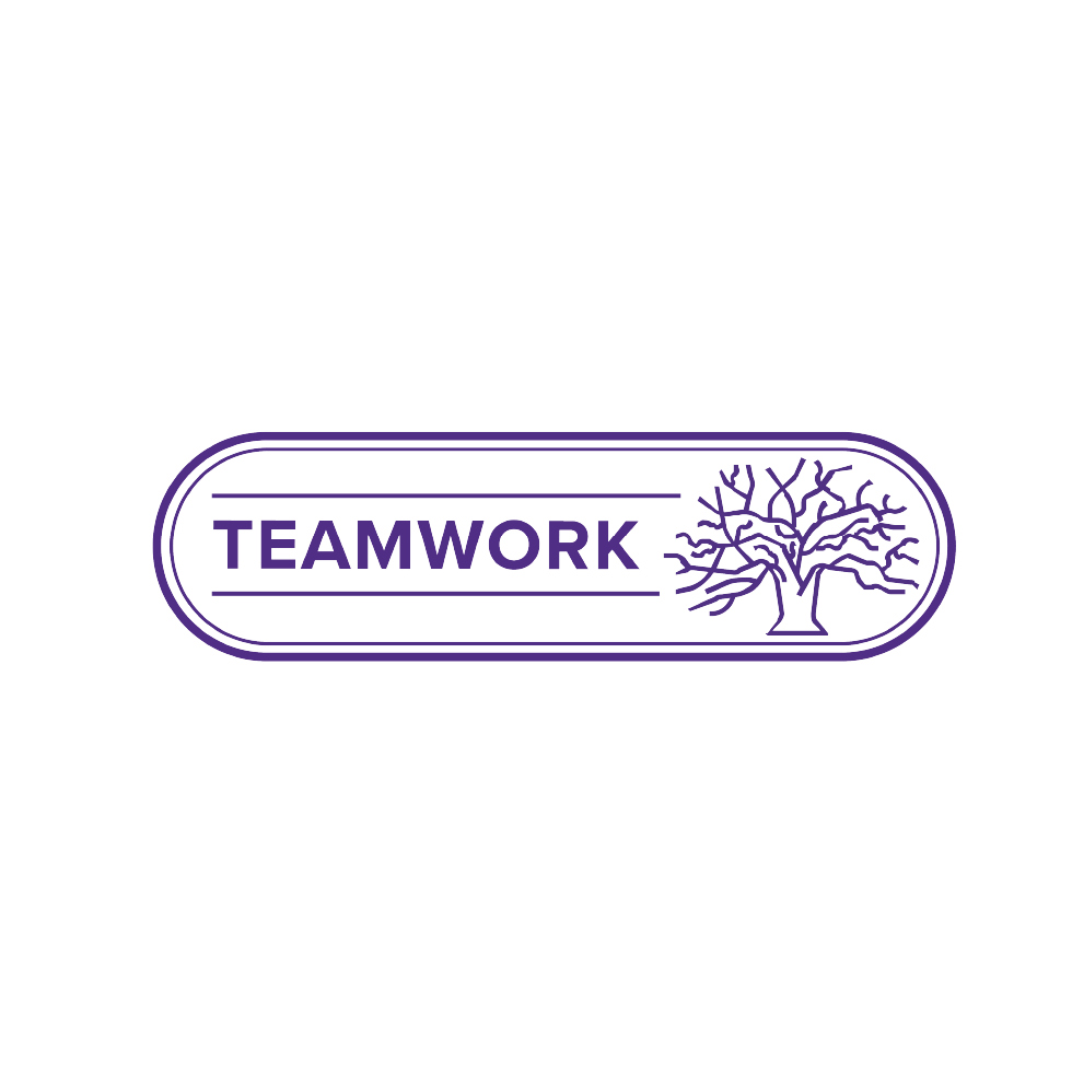 Teamwork Icon
